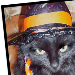 Angry Black Cat in Witch's Hat Funny Halloween Card