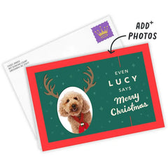Reindeer Face Custom Christmas Card From Pet