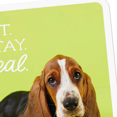 Sit, Stay, Heal Get Well Card