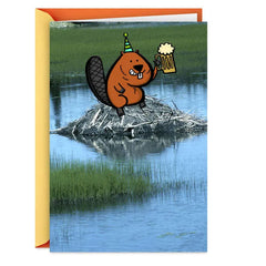 Another Dam Birthday Funny Birthday Card