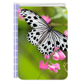 Black-and-White Butterfly and Pink Flowers Blank Card