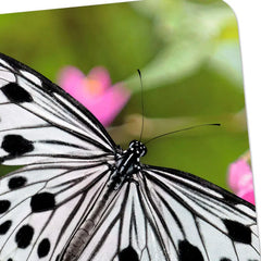 Black-and-White Butterfly and Pink Flowers Blank Card