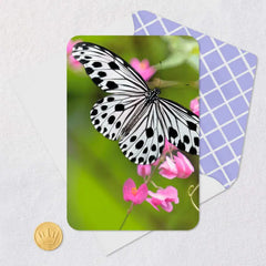 Black-and-White Butterfly and Pink Flowers Blank Card