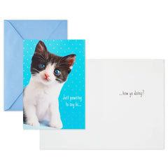 Cheery and Bright Assorted Multi-Occasion Cards, Pack of 8