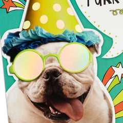 Bulldog in Party Hat Funny 9th Birthday Card With Decal