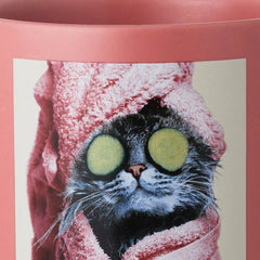 Cat Spa Day Funny Mug, 16 oz.