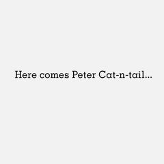 Peter Cat-n-tail Funny Easter Card