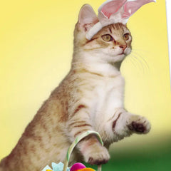 Peter Cat-n-tail Funny Easter Card