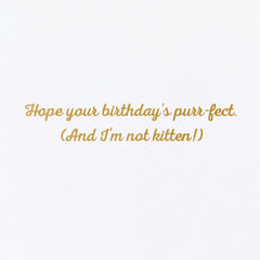 Purr-fect Day Funny Birthday Card