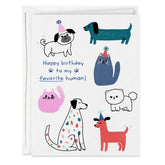 You're My Favorite Human Blank Birthday Card