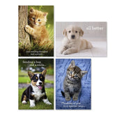 Whiskers and Paws Assorted Religious Get Well Cards, Box of 12