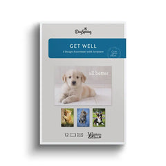 Whiskers and Paws Assorted Religious Get Well Cards, Box of 12