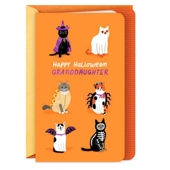 A Purr-fect Day Halloween Card for Granddaughter