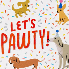 Festive and Fun Assorted Birthday Cards, Pack of 20
