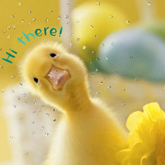 A Happy Hello Yellow Duckling Easter Card