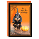 Teeny Wienie Halloween Card