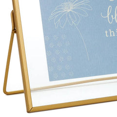 DaySpring Season of Life Floating Framed Sentiment