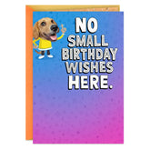 Silly Dog Funny Pop-Up Birthday Card
