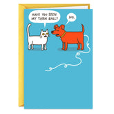 All the Fun You Can Get Away With Funny Birthday Card