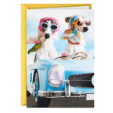 A Sun-in-Your-Face Kind of Day Funny Birthday Card