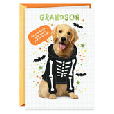 Loved a Skele-Ton Halloween Card for Grandson