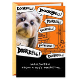 Dog and Doorbell Frenzy Funny Halloween Card