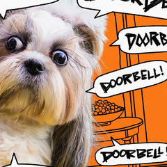 Dog and Doorbell Frenzy Funny Halloween Card