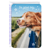 It's Your Day Card
