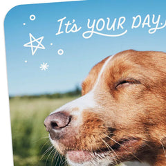 It's Your Day Card