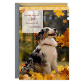 Thankful Through All Seasons Thanksgiving Card