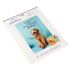 Sunny and Sweet Assorted Multi-Occasion Cards, Pack of 4