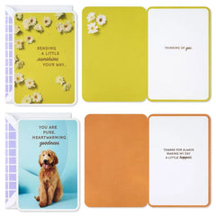 Sunny and Sweet Assorted Multi-Occasion Cards, Pack of 4