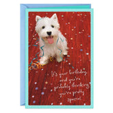 You're Pretty Special Birthday Card