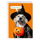 All Your Favorite Treats Funny Halloween Card