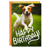 Have an Off-Leash Kind of Day Funny Birthday Card