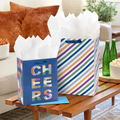 Cool Stripes and Solids 8-Pack Assorted Gift Bags