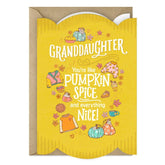 Pumpkin Spice and Everything Nice Thanksgiving Card for Granddaughter