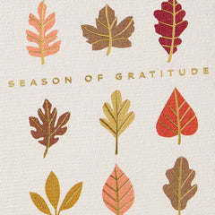 Season of Gratitude Thanksgiving Card