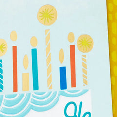 Another Candle on the Cake Birthday Card