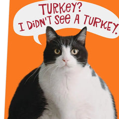 Fat Cat Funny Thanksgiving Card
