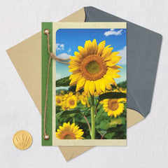 Field of Sunflowers Blank Card