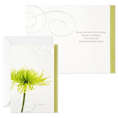 Flower Photos Assorted Sympathy Cards, Box of 12