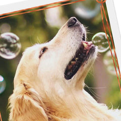 Happy Thoughts Dog With Bubbles Encouragement Card
