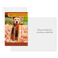 Warm Thoughts of You Thanksgiving Cards, Pack of 6