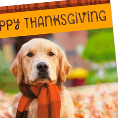 Warm Thoughts of You Thanksgiving Cards, Pack of 6