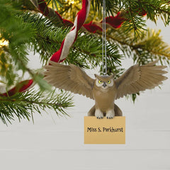Harry Potter™ Hogwarts™ Acceptance Letter Personalized Ornament, Custom Text