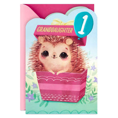 A Year of Dreams Come True First Birthday Card for Granddaughter