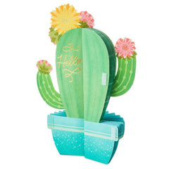 All Sun, All Fun Flowering Cactus Honeycomb 3D Pop-Up Card