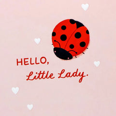 Little Ladybug New Baby Card for Girl