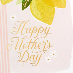You Deserve the Happiest Moments Mother's Day Cards, Pack of 10